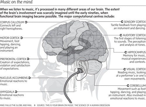 brain-music-sleep