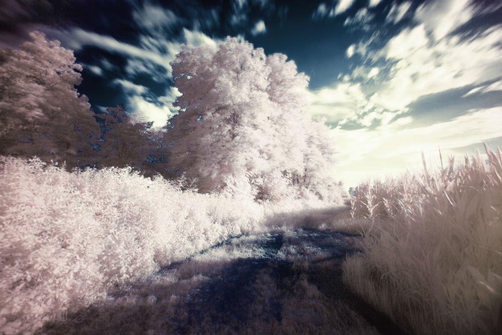 Can Vitamin B6 Help Recall Dreams Move Vividly? - Fawcett Mattress