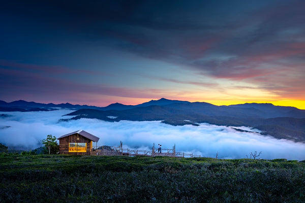 tinyhouse-tiny-house
